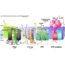 Stacks Image 61