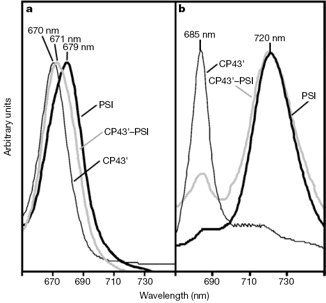 NatisiAfig2